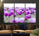 Tulip Fields Canvas Wall Art Print