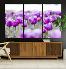 Tulip Fields Canvas Wall Art Print