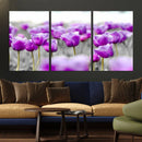 Tulip Fields Canvas Wall Art Print