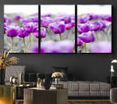 Tulip Fields Canvas Wall Art Print