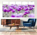 Tulip Fields Canvas Wall Art Print