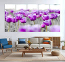 Tulip Fields Canvas Wall Art Print