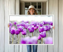 Tulip Fields Canvas Wall Art Print