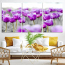 Tulip Fields Canvas Wall Art Print