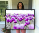 Tulip Fields Canvas Wall Art Print
