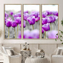 Tulip Fields Canvas Wall Art Print