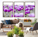 Tulip Fields Canvas Wall Art Print