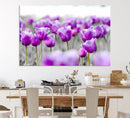 Tulip Fields Canvas Wall Art Print