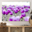 Tulip Fields Canvas Wall Art Print