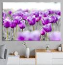 Tulip Fields Canvas Wall Art Print