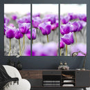 Tulip Fields Canvas Wall Art Print
