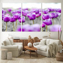 Tulip Fields Canvas Wall Art Print