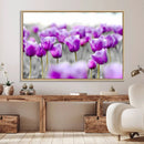 Tulip Fields Canvas Wall Art Print