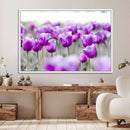 Tulip Fields Canvas Wall Art Print