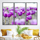 Tulip Fields Canvas Wall Art Print