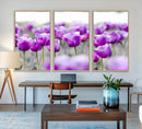 Tulip Fields Canvas Wall Art Print