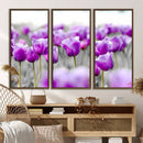 Tulip Fields Canvas Wall Art Print