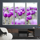 Tulip Fields Canvas Wall Art Print