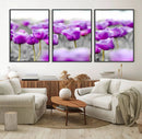 Tulip Fields Canvas Wall Art Print