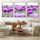 Tulip Fields Canvas Wall Art Print