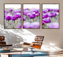 Tulip Fields Canvas Wall Art Print