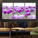 Tulip Fields Canvas Wall Art Print