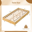 Twin/Full/Queen Size Floating Bed Frame with LED Lights for Bedroom by LJGDeals