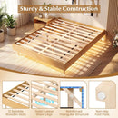 Twin/Full/Queen Size Floating Bed Frame with LED Lights for Bedroom by LJGDeals