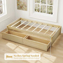 Twin Size Captain Bed with 2 Drawers and Slats Support by LJGDeals