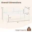 Twin Low Loft Bed with Safety Guardrails and 2 Ladders by LJGDeals