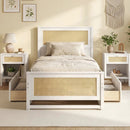 Twin Size Rattan Bed Frame with Storage Drawers by LJGDeals