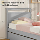 Twin Size Wooden Bed Frame with 2 Drawers for Teens and Adults by LJGDeals