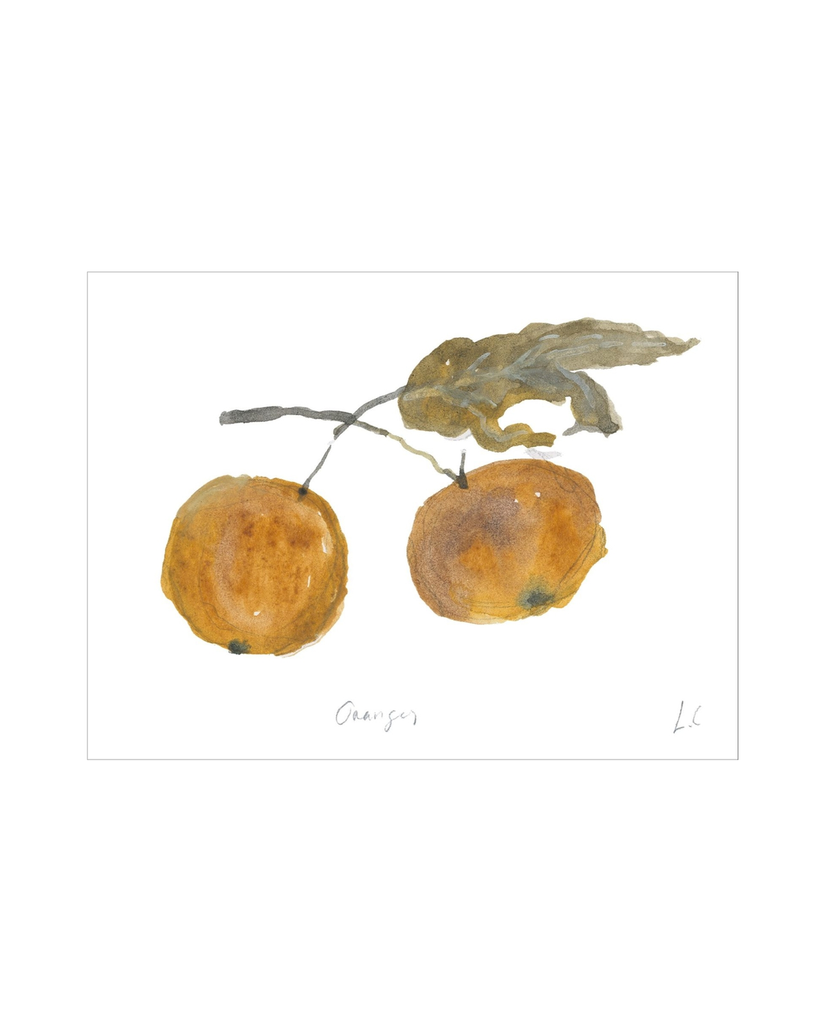 Oranges, photo 7 of 34