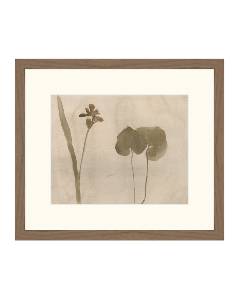 Botanical Thoughts II