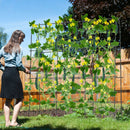 71 x 71 Inch U-Shaped Tall Garden Arched Trellis for Climbing Plants by LJGDeals