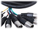 XLR Snake Cable 8-Channel 10ft (2-Pack) by FAT TOAD - Pro-Audio Shielded 3-Pin Balanced Patch Cables for Studio Stage, Live Sound & DJ Mixer