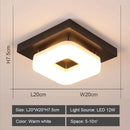 GobekUsa LED Ceiling Lights: Modern Shade for Home & Living Room Lighting