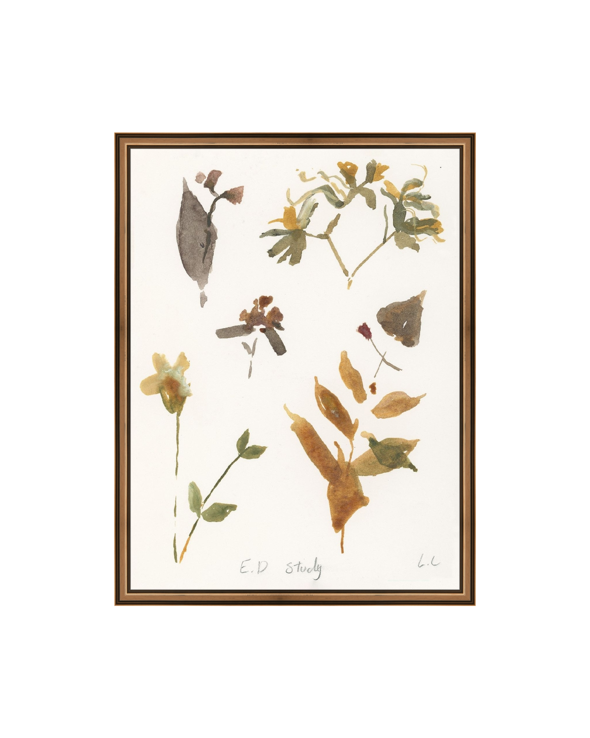 E.D Botanical Study, photo 8 of 34