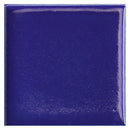 Royal Blue 2x2 Glossy Square Porcelain Tile (50 pack, 0.86 sq ft/case)