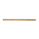 Terracotta 0.6x12 Matte Porcelain Bullnose Tile Trim (10 pack, 0.5 sq ft/case)