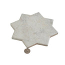 Light Ash Beige 6x6 Matte Star Porcelain Tile (16 pack, 4.2 sq ft/case) by Apollo Tile