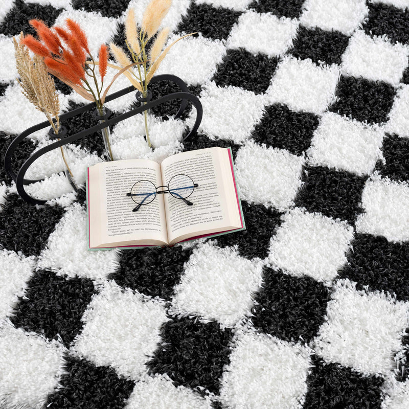 Atira Black & White Checkered Area Rug