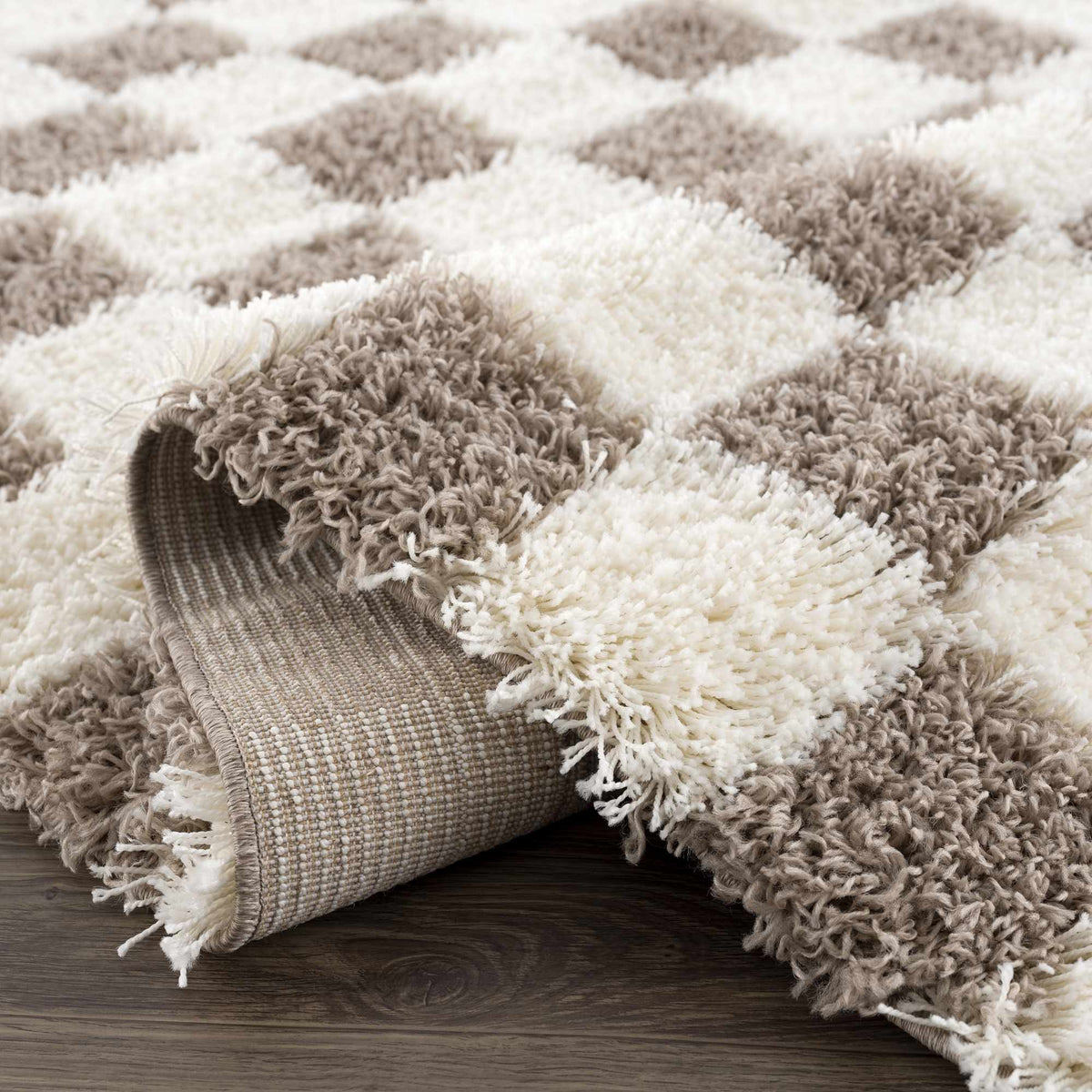 Atira Brown Checkered Area Rug, photo 8 of 16