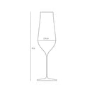 Ghost Zero Tulip Champagne Glass by NUDE USA