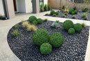 Boxwood Artificial Topiary Ball Set of 2 15in – UV Resistant