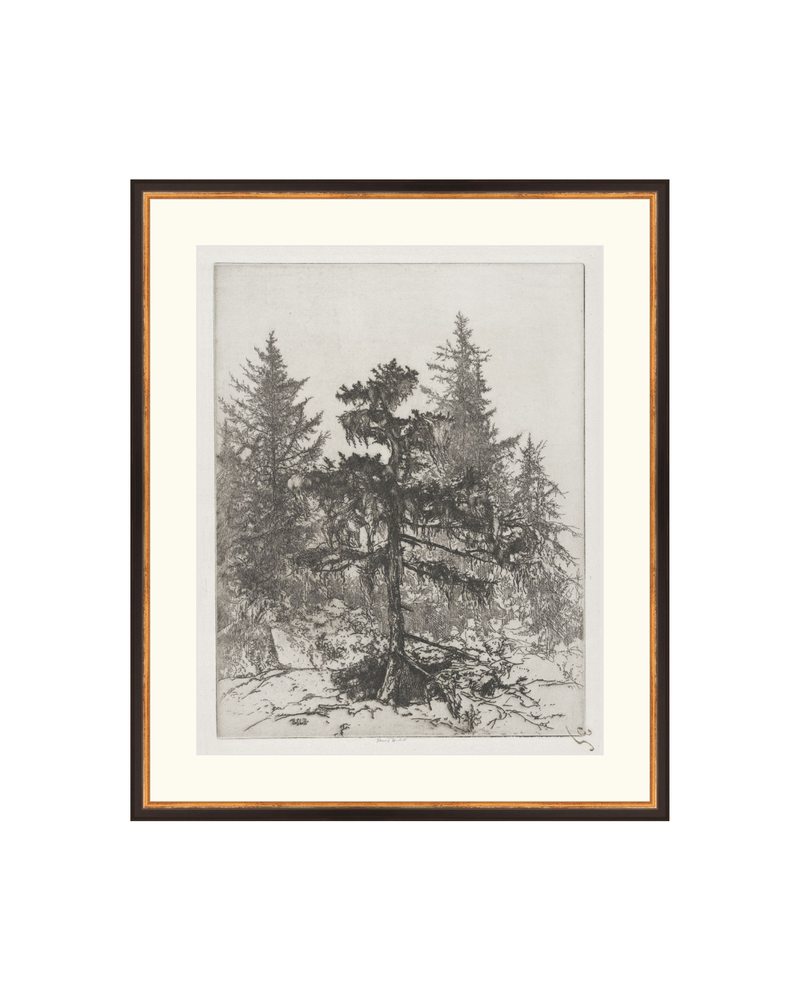 Pine Etching