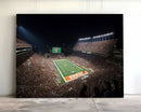 University of Texas Longhorns Football Team Print – Darrell
