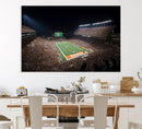 University of Texas Longhorns Football Team Print – Darrell