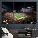 University of Texas Longhorns Football Team Print – Darrell