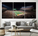University of Texas Longhorns Football Team Print – Darrell